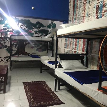 Brisbane Lodge & Hostel Kochi Extérieur photo